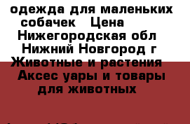 одежда для маленьких собачек › Цена ­ 100 - Нижегородская обл., Нижний Новгород г. Животные и растения » Аксесcуары и товары для животных   